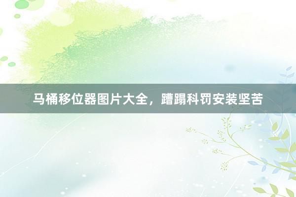 马桶移位器图片大全，蹧蹋科罚安装坚苦